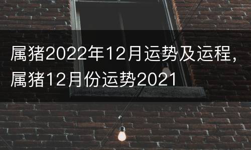属猪2022年12月运势及运程，属猪12月份运势2021