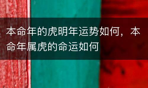 本命年的虎明年运势如何，本命年属虎的命运如何