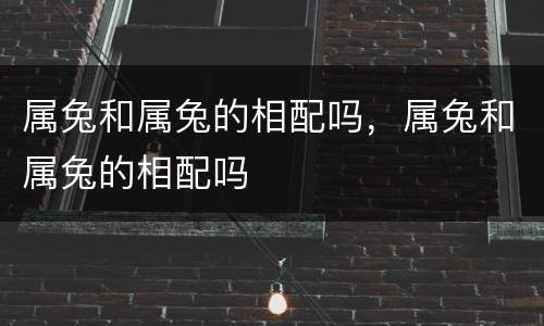 属兔和属兔的相配吗，属兔和属兔的相配吗