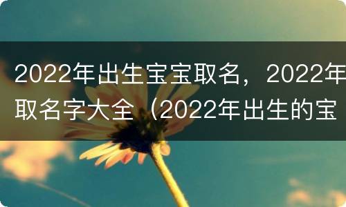 2022年出生宝宝取名，2022年取名字大全（2022年出生的宝宝取名字）