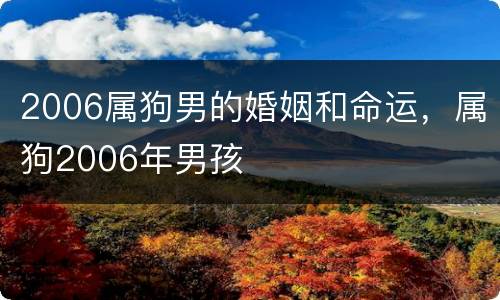 2006属狗男的婚姻和命运，属狗2006年男孩