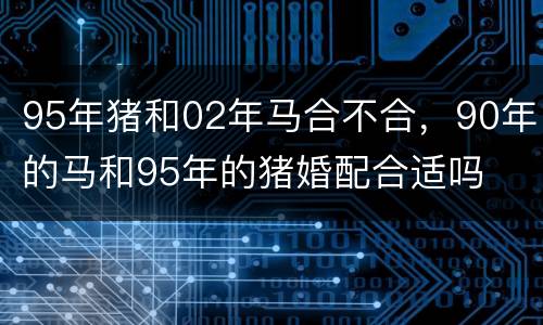 95年猪和02年马合不合，90年的马和95年的猪婚配合适吗
