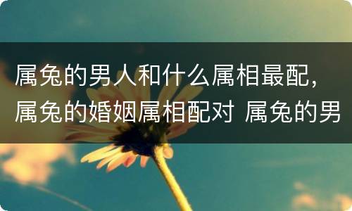 属兔的男人和什么属相最配，属兔的婚姻属相配对 属兔的男性与什