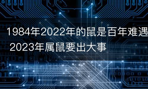 1984年2022年的鼠是百年难遇 2023年属鼠要出大事