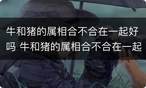 牛和猪的属相合不合在一起好吗 牛和猪的属相合不合在一起好吗女