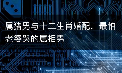 属猪男与十二生肖婚配，最怕老婆哭的属相男