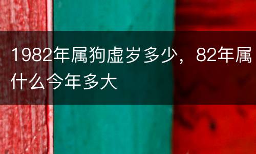 1982年属狗虚岁多少，82年属什么今年多大