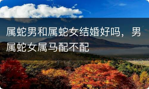 属蛇男和属蛇女结婚好吗，男属蛇女属马配不配