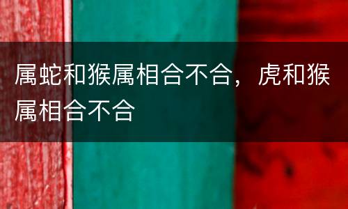 属蛇和猴属相合不合，虎和猴属相合不合
