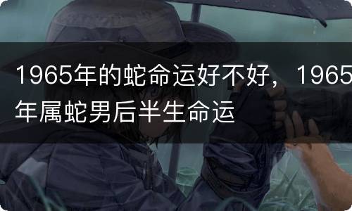 1965年的蛇命运好不好，1965年属蛇男后半生命运