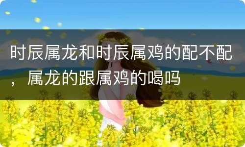 时辰属龙和时辰属鸡的配不配，属龙的跟属鸡的喝吗
