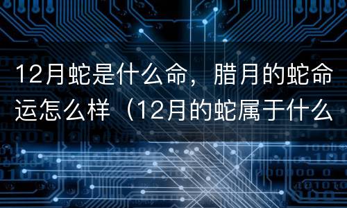 12月蛇是什么命，腊月的蛇命运怎么样（12月的蛇属于什么命）