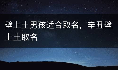 壁上土男孩适合取名，辛丑壁上土取名