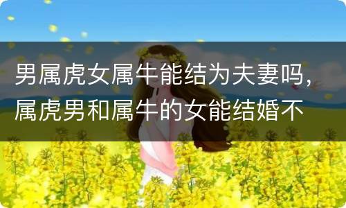 男属虎女属牛能结为夫妻吗，属虎男和属牛的女能结婚不