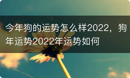 今年狗的运势怎么样2022，狗年运势2022年运势如何