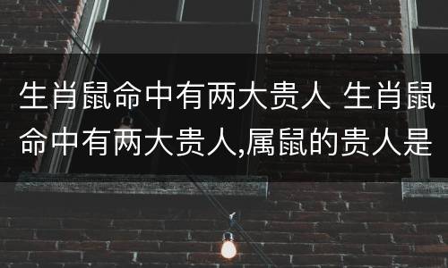 生肖鼠命中有两大贵人 生肖鼠命中有两大贵人,属鼠的贵人是谁 -属鼠-生肖网