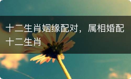 十二生肖姻缘配对，属相婚配十二生肖
