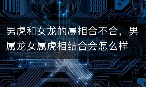 男虎和女龙的属相合不合，男属龙女属虎相结合会怎么样
