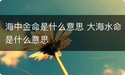 海中金命是什么意思 大海水命是什么意思