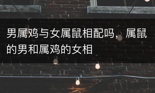 男属鸡与女属鼠相配吗，属鼠的男和属鸡的女相