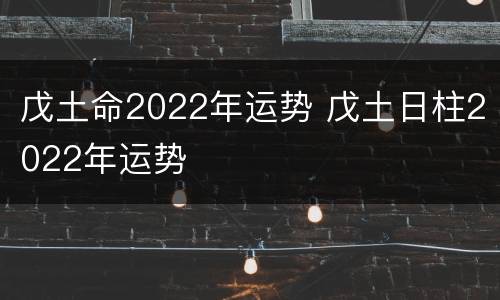 戊土命2022年运势 戊土日柱2022年运势