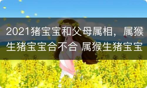 2021猪宝宝和父母属相，属猴生猪宝宝合不合 属猴生猪宝宝为