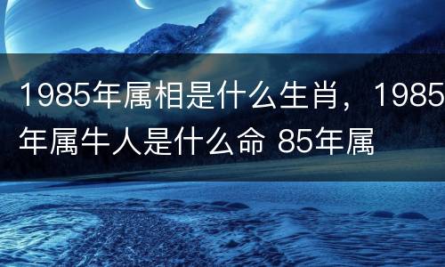 1985年属相是什么生肖，1985年属牛人是什么命 85年属