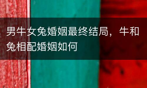 男牛女兔婚姻最终结局，牛和兔相配婚姻如何