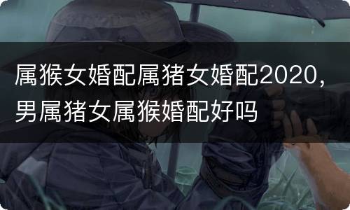 属猴女婚配属猪女婚配2020，男属猪女属猴婚配好吗