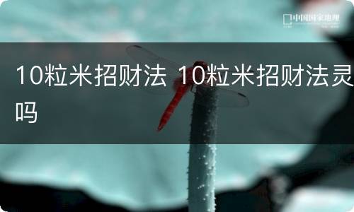 10粒米招财法 10粒米招财法灵吗