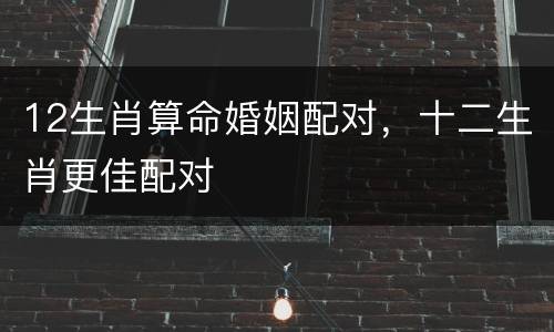 12生肖算命婚姻配对，十二生肖更佳配对