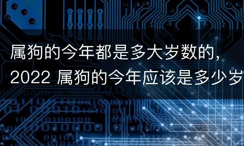属狗的今年都是多大岁数的，2022 属狗的今年应该是多少岁