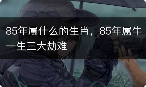 85年属什么的生肖，85年属牛一生三大劫难