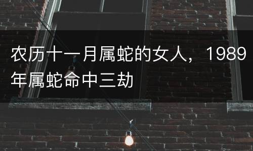 农历十一月属蛇的女人，1989年属蛇命中三劫