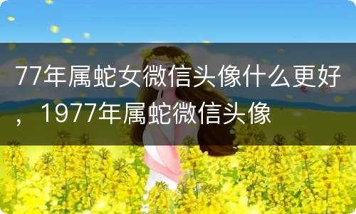 77年属蛇女微信头像什么更好，1977年属蛇微信头像