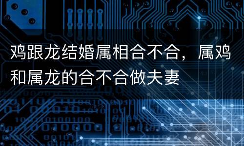 鸡跟龙结婚属相合不合，属鸡和属龙的合不合做夫妻