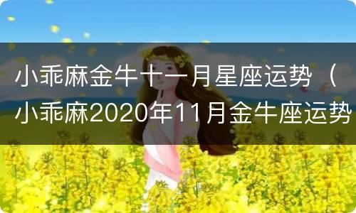 小乖麻金牛十一月星座运势（小乖麻2020年11月金牛座运势）