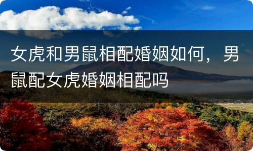 女虎和男鼠相配婚姻如何，男鼠配女虎婚姻相配吗