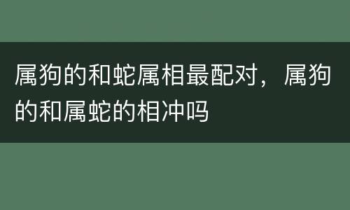 属狗的和蛇属相最配对，属狗的和属蛇的相冲吗