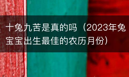 十兔九苦是真的吗（2023年兔宝宝出生最佳的农历月份）