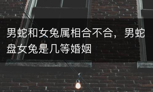 男蛇和女兔属相合不合，男蛇盘女兔是几等婚姻
