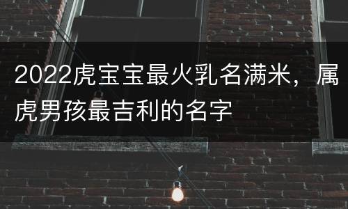 2022虎宝宝最火乳名满米，属虎男孩最吉利的名字