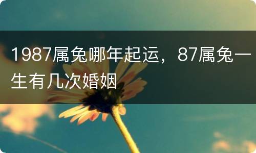1987属兔哪年起运，87属兔一生有几次婚姻