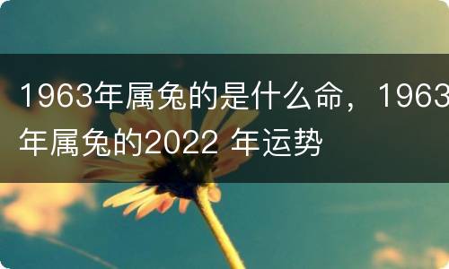 1963年属兔的是什么命，1963年属兔的2022 年运势