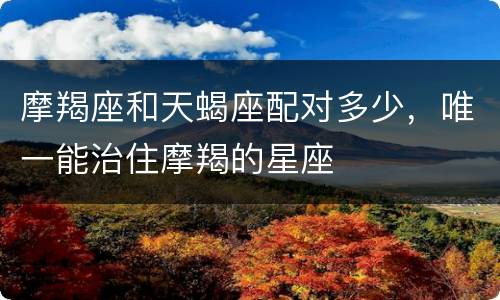 摩羯座和天蝎座配对多少，唯一能治住摩羯的星座