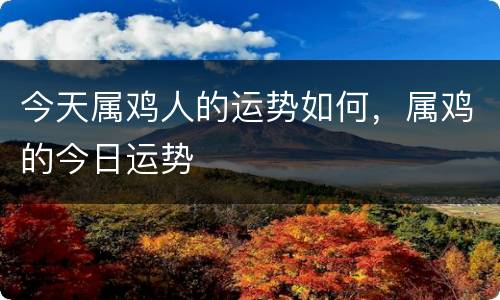 今天属鸡人的运势如何，属鸡的今日运势