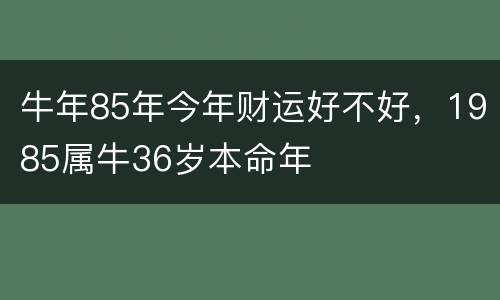 牛年85年今年财运好不好，1985属牛36岁本命年
