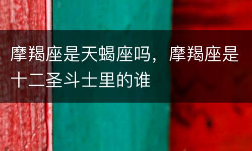 摩羯座是天蝎座吗，摩羯座是十二圣斗士里的谁