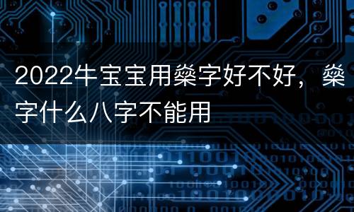 2022牛宝宝用燊字好不好，燊字什么八字不能用