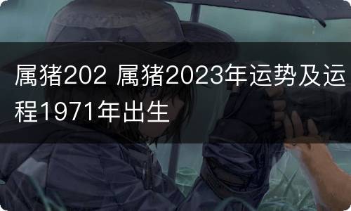 属猪202 属猪2023年运势及运程1971年出生